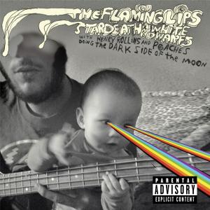 Dark Side Of The Moon - The Flaming Lips - Musiikki - WARNER BROTHERS - 0093624966876 - tiistai 4. toukokuuta 2010