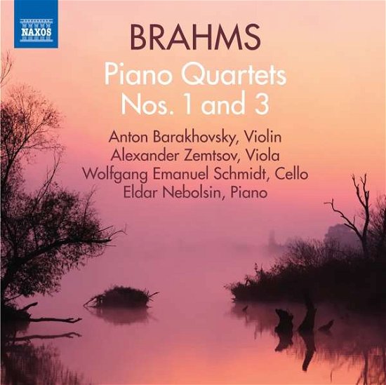 Cover for Johannes Brahms · Piano Quartets No.1 &amp; 3 (CD) (2016)