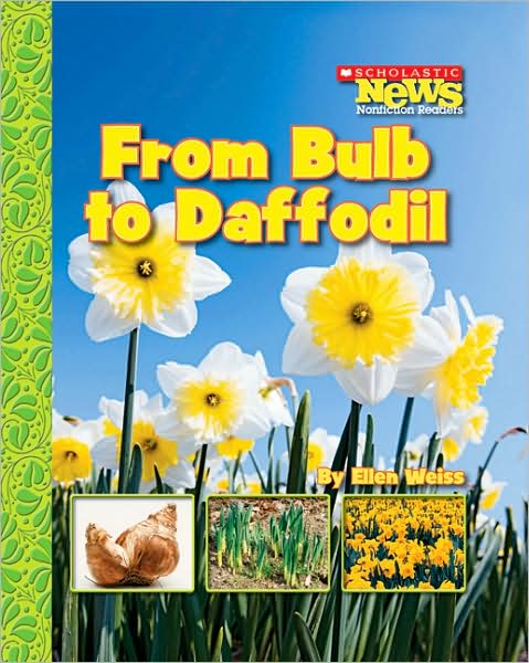 Cover for Ellen Weiss · From Bulb to Daffodil (Scholastic News Nonfiction Readers: How Things Grow) - Scholastic News Nonfiction Readers: How Things Grow (Paperback Book) (2007)