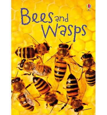 Bees and Wasps - Beginners - James Maclaine - Books - Usborne Publishing Ltd - 9781409544876 - March 1, 2013