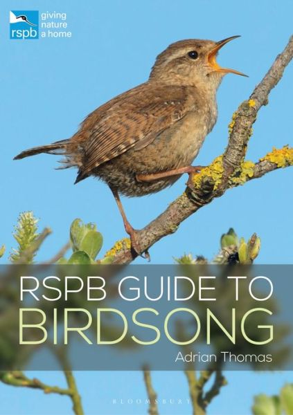 Cover for Adrian Thomas · RSPB Guide to Birdsong - RSPB (Paperback Book) (2019)