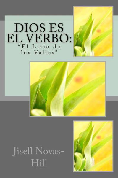 Cover for Jisell J Novas-Hill · Dios es el Verbo (Paperback Bog) (2016)