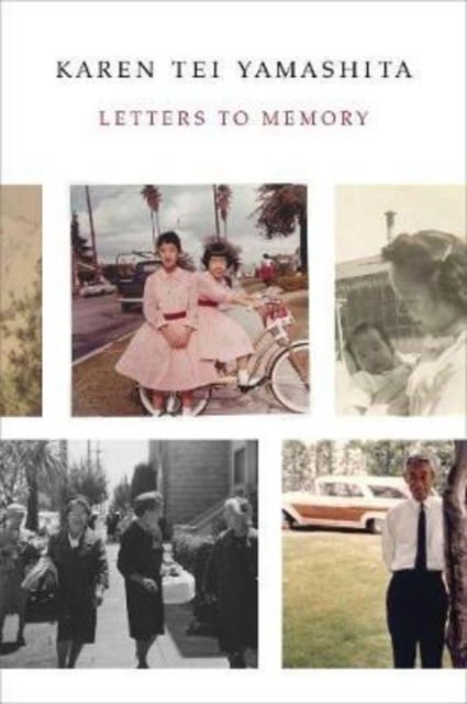 Cover for Karen Tei Yamashita · Letters to Memory (Paperback Book) (2017)