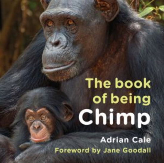 Adrian Cale · The Book of Being Chimp (Hardcover Book) (2024)