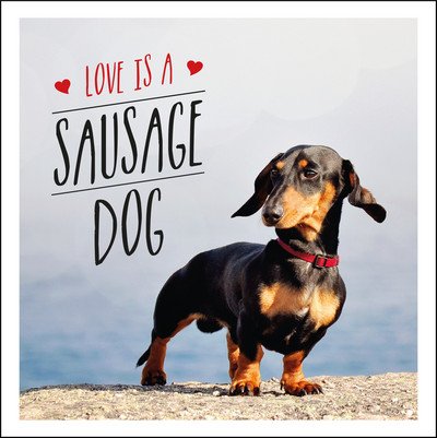 Cover for Charlie Ellis · Love is a Sausage Dog: A Pup-Tastic Celebration of Dachshunds - The World's Cutest Dogs (Gebundenes Buch) (2017)