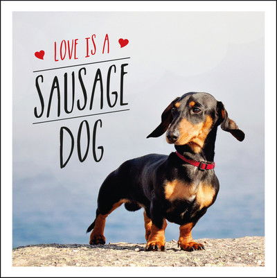 Cover for Charlie Ellis · Love is a Sausage Dog: A Pup-Tastic Celebration of Dachshunds - The World's Cutest Dogs (Hardcover bog) (2017)