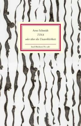 Insel Buech.1387 Schmidt:Tina - Arno Schmidt - Boeken -  - 9783458193876 - 