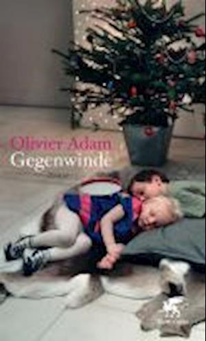 Cover for Olivier Adam · Gegenwinde (Book)