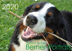 Cover for Brenner · Tierisch nahe Berner-Porträts ( (Book)