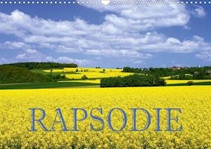 Cover for Pfleger · Rapsodie (Wandkalender 2020 DIN (Book)