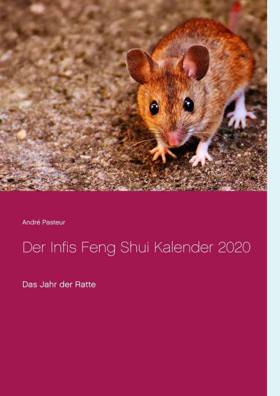 Cover for Pasteur · Der Infis Feng Shui Kalender 20 (Book)