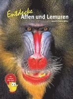 Cover for Agnes &amp; Thomas Wilms · Entdecke Affen und Lemuren (Book) (2022)