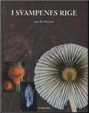 Cover for Jens H. Petersen · I svampenes rige (Bound Book) [1. Painos] [Indbundet] (2013)