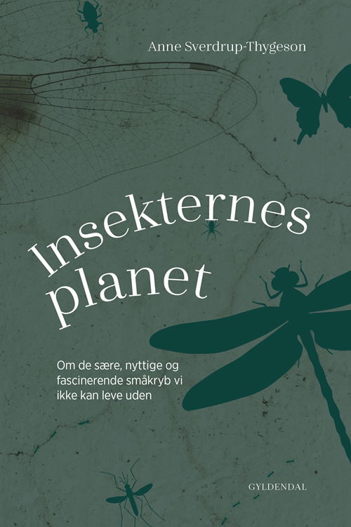 Insekternes planet - Anne Sverdrup-Thygeson - Bøker - Gyldendal - 9788702277876 - 21. mai 2019