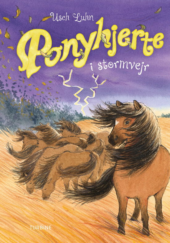 Cover for Usch Luhn · Ponyhjerte i stormvejr (Innbunden bok) [1. utgave] (2024)