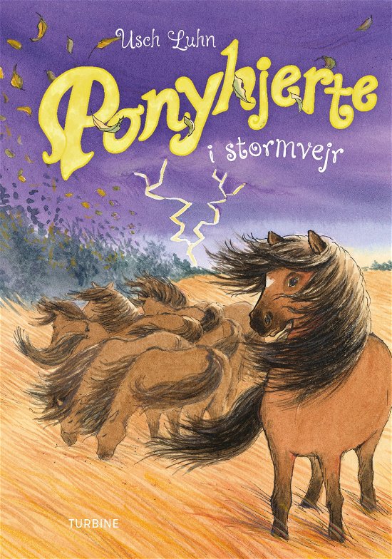 Cover for Usch Luhn · Ponyhjerte i stormvejr (Hardcover bog) [1. udgave] (2024)