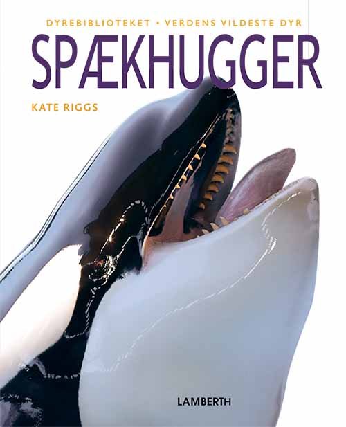 Cover for Kate Riggs · Verdens vildeste dyr: Spækhugger (Indbundet Bog) [1. udgave] (2020)