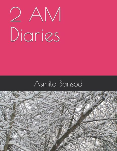 Cover for Asmita Ashish Bansod · 2 AM Diaries (Paperback Book) (2021)