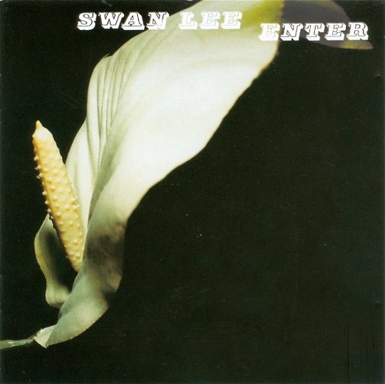 Enter - Swan Lee - Musik -  - 0602508898877 - 31 mars 2022