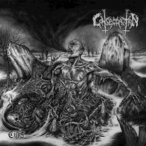 Cover for Consecration · Cinis (LP) (2022)