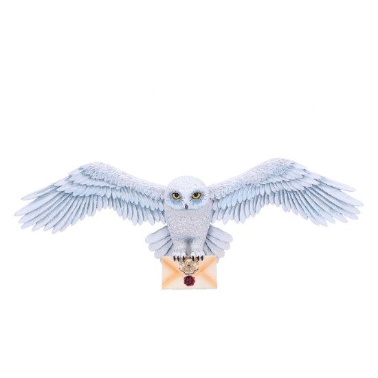 Harry Potter Wandschmuck Hedwig 45 cm - Harry Potter - Merchandise - NEMESIS NOW - 0801269147877 - July 25, 2022