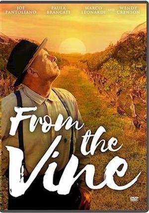 Cover for From the Vine (DVD) (2020)