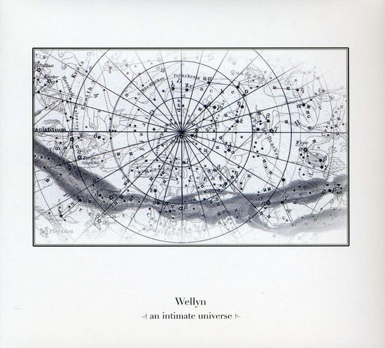 Cover for Wellyn · An Intimate Universe (CD) (2008)