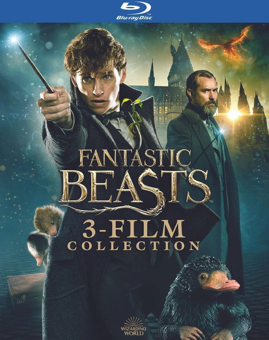 Cover for Fantastic Beasts 3-film Collection (Blu-ray) (2023)