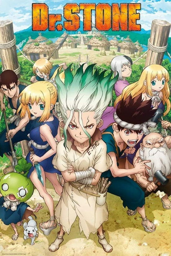 Cover for Großes Poster · DR STONE - Poster - Groupe (91.5x61) (Spielzeug) (2019)