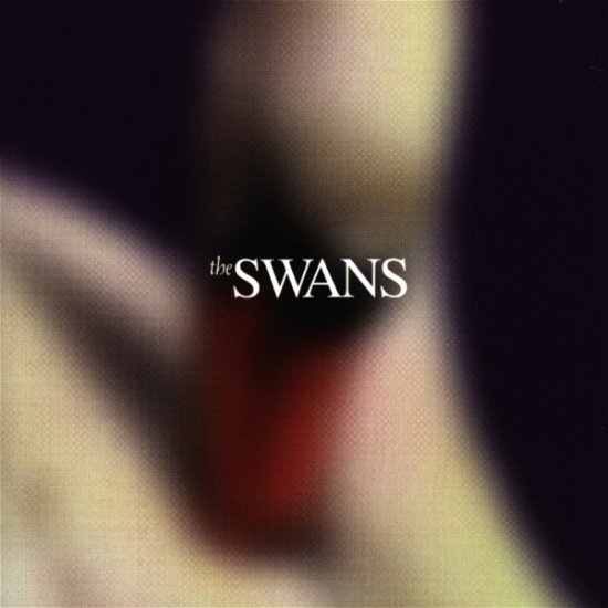 Cover for Swans · Photographs &amp; Letters (CD) (1999)