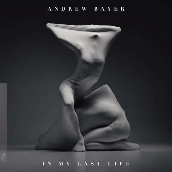 Cover for Andrew Bayer · Andrew Bayer - in My Last Life (LP) (2018)