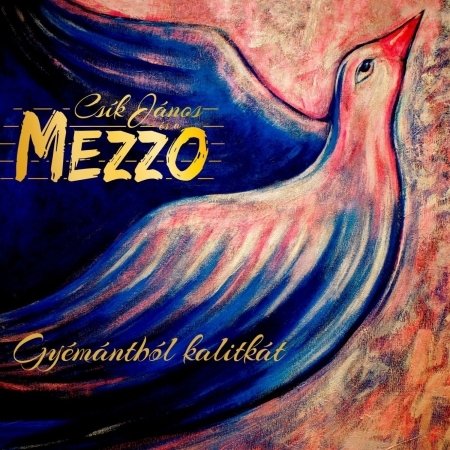 Gyemantbol Kalitkat - Csik Janos Es Mezzo - Musik - MG RECORDS - 5999524966877 - 