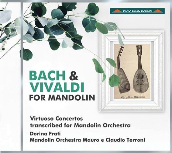 Cover for Bach / Vivaldi · Bach &amp; Vivaldi for Mandolin (CD) (2017)
