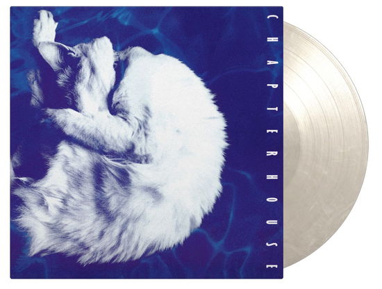 Chapterhouse · Whirlpool (LP) [White Marbled edition] (2024)