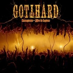 Cover for Gotthard · Homegrown: Alive in Lugano (CD) (2011)