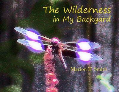 Cover for Marion T. Smith · The Wilderness in My Backyard (Paperback Book) (2019)