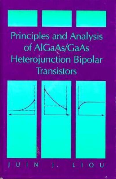 Cover for Juin J. Liou · Principles Analysis of Aigaasgaas Hetero (Hardcover Book) (1996)