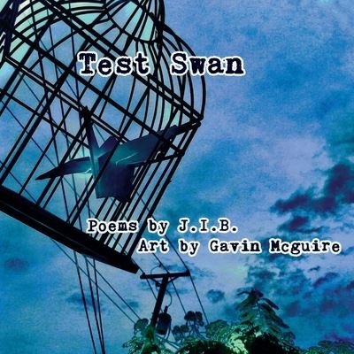 Cover for J I B · Test Swan (Paperback Book) (2021)