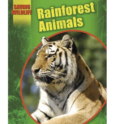 Cover for Sonya Newland · Saving Wildlife: Rainforest Animals - Saving Wildlife (Paperback Book) (2014)