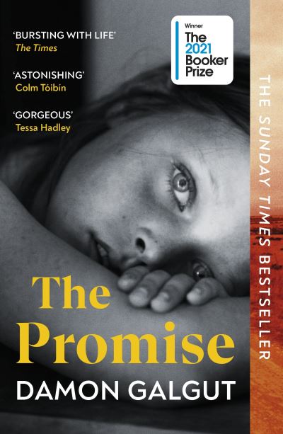 Cover for Damon Galgut · The Promise: WINNER OF THE BOOKER PRIZE 2021 (Paperback Book) (2022)