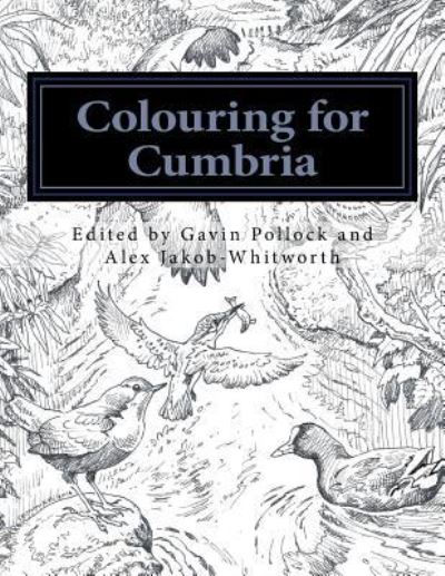 Colouring for Cumbria - Chris Riddell - Bøger - Createspace Independent Publishing Platf - 9781532786877 - 4. maj 2016