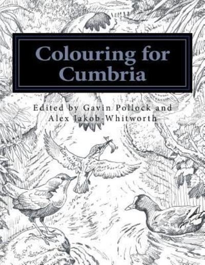 Cover for Chris Riddell · Colouring for Cumbria (Pocketbok) (2016)