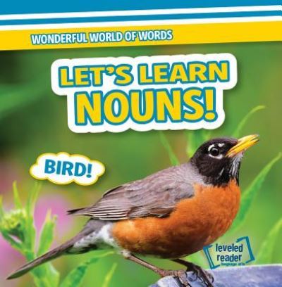 Cover for Kate Mikoley · Let's Learn Nouns! (Hardcover Book) (2018)