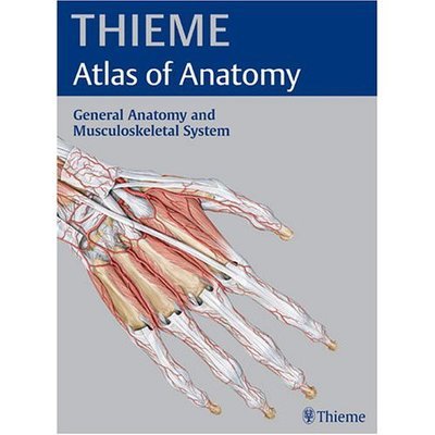 Cover for Michael Schünke · General Anatomy and Musculoskeletal System (THIEME Atlas of Anatomy) (Book) (2005)