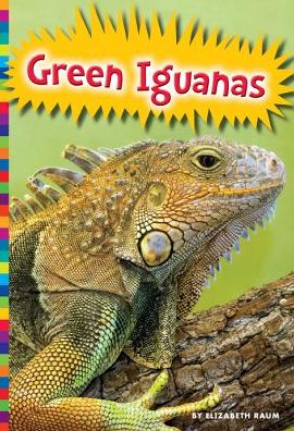 Green Iguanas (Lizards (Amicus)) - Elizabeth Raum - Livros - Amicus High Interest - 9781607534877 - 1 de agosto de 2014