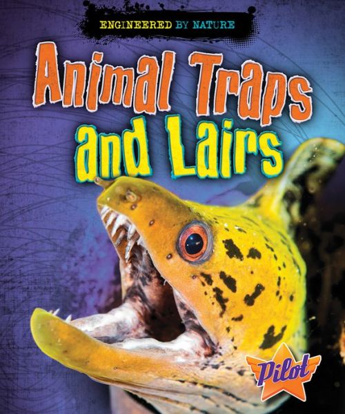 Cover for Louise A Spilsbury · Animal Traps and Lairs (Hardcover Book) (2017)