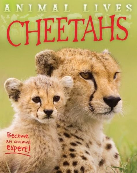 Cover for Sally Morgan · Cheetahs (Innbunden bok) (2015)