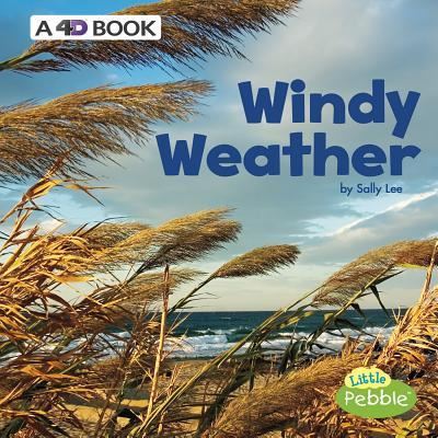 Cover for Sally Lee · Windy Weather (Buch) (2018)