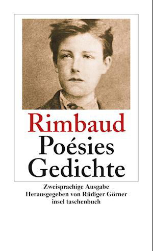 Insel TB.3287 Rimbaud.Poèsies; Gedichte - Arthur Rimbaud - Livros -  - 9783458349877 - 