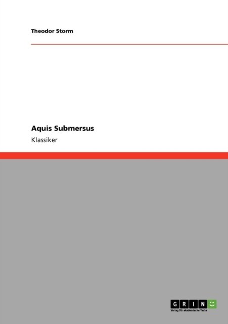 Aquis Submersus - Theodor Storm - Books - GRIN Verlag - 9783640227877 - December 14, 2008